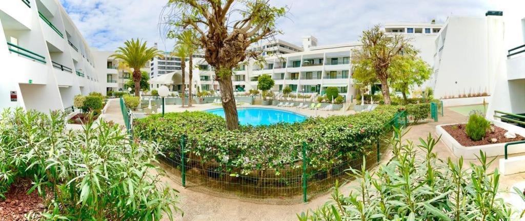 شقة Optimist Playa De Las Americas المظهر الخارجي الصورة